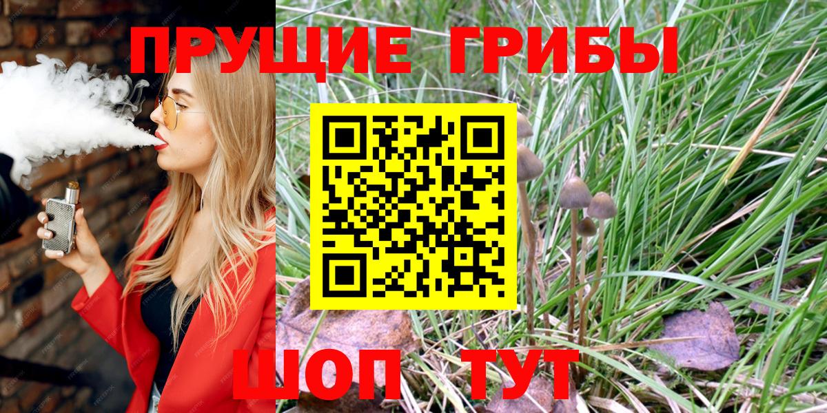 Луховицы  Псилоцибиновые грибы GOLDEN TEACHER  Вход с VPN 